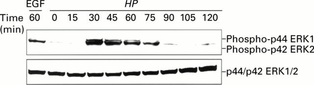 Figure 3  