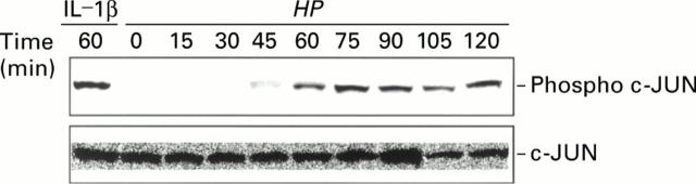 Figure 5  