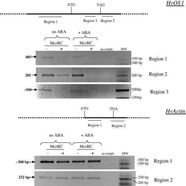 Figure 9