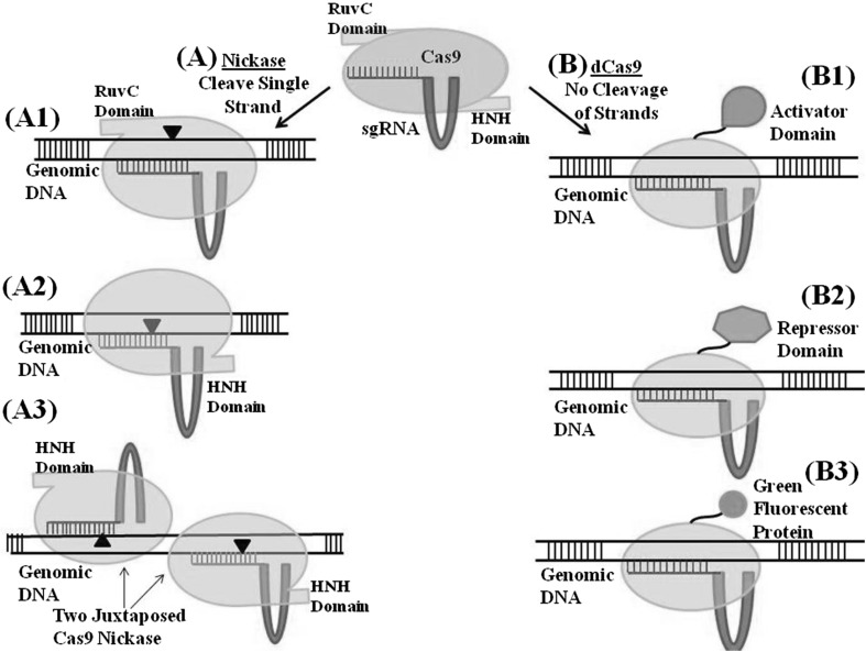 Fig. 2