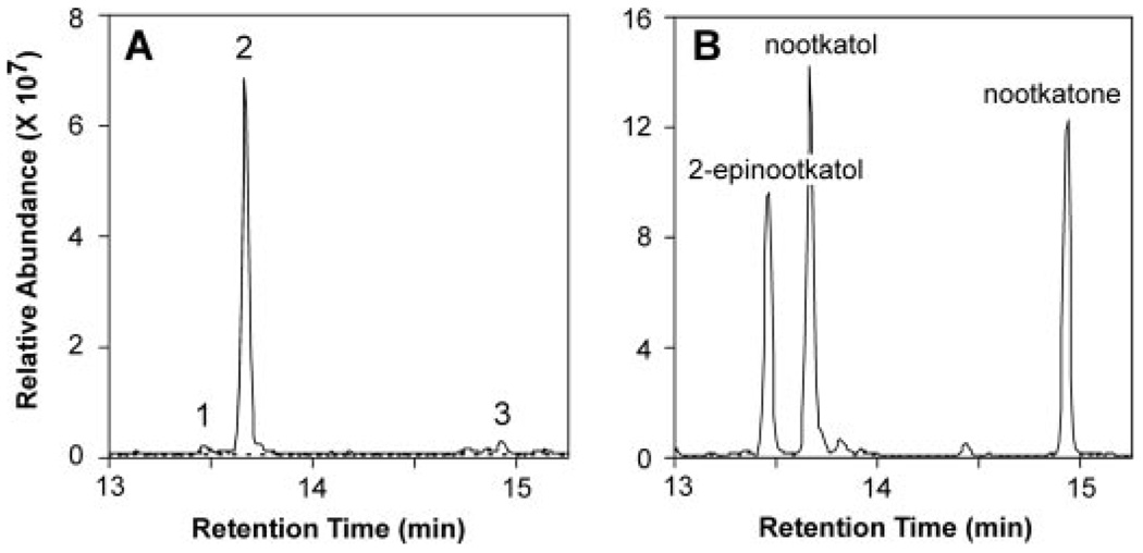 FIGURE 3