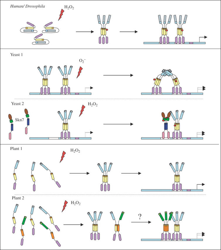 Fig. 4.