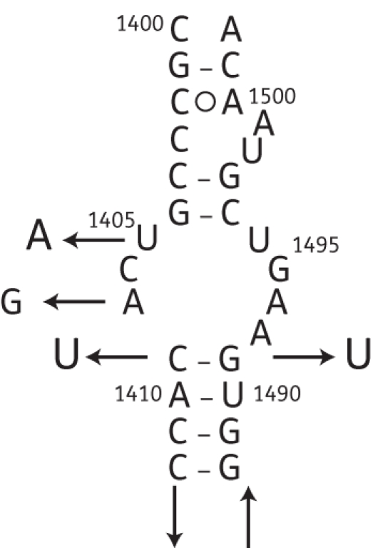 Figure 1.