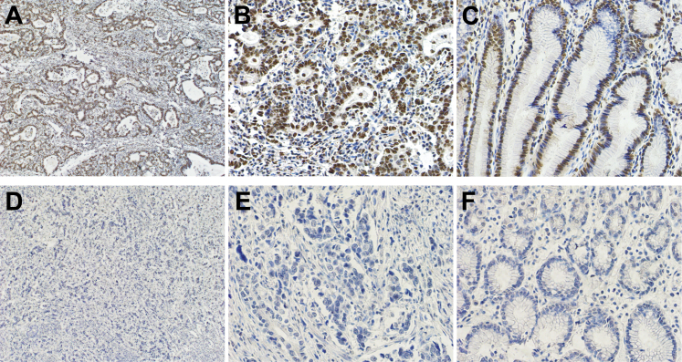 Figure 3