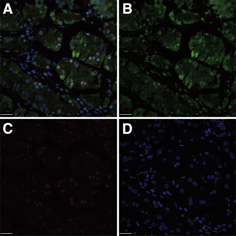 Figure 6