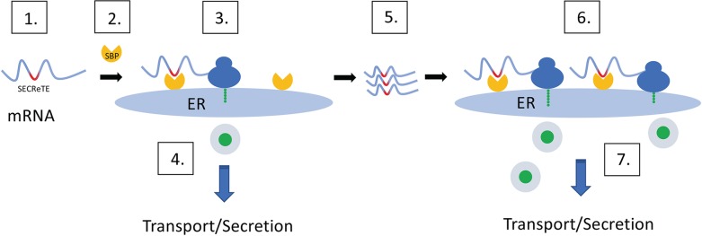 Fig 8