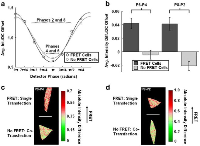 Fig. 4