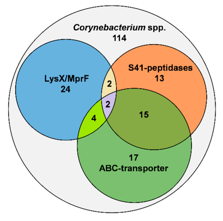 In Silico Prediction and Analysis of Unusual Lantibiotic Resistance ...