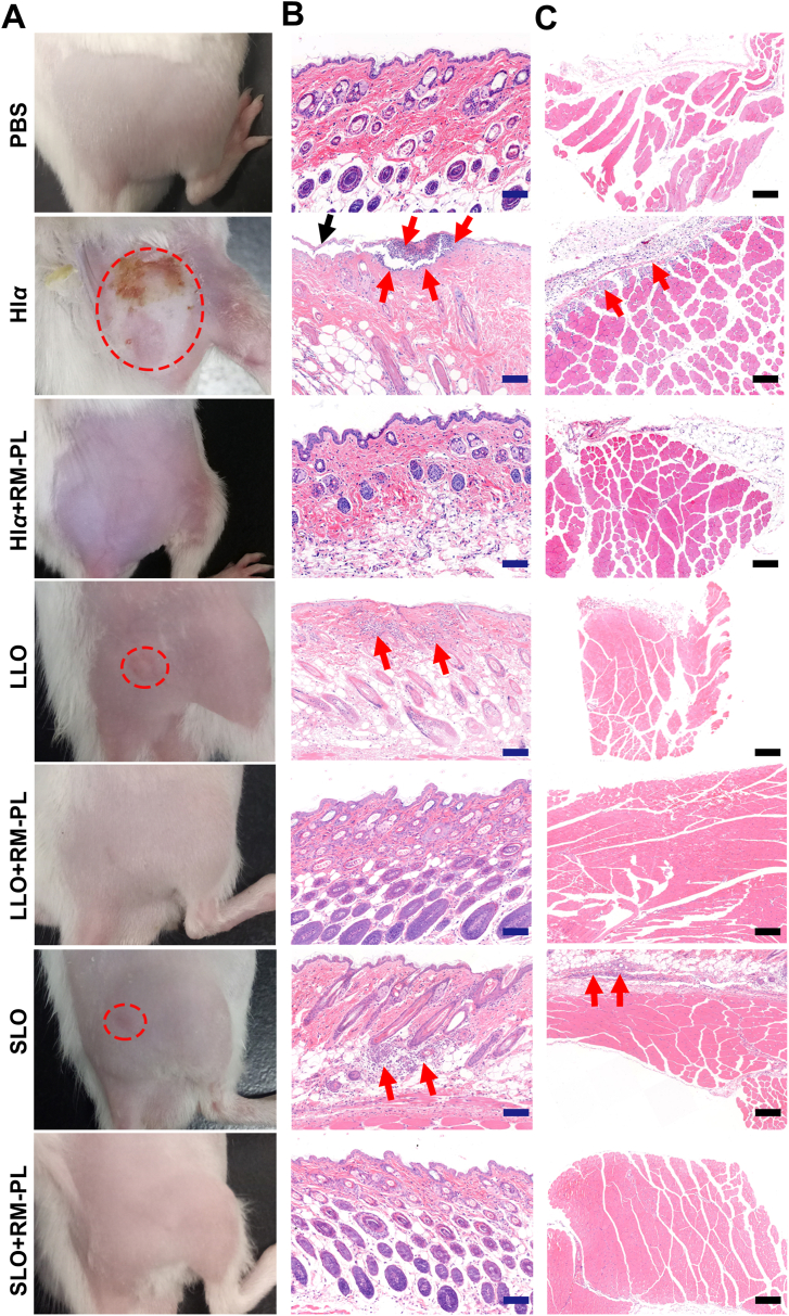 Figure 4