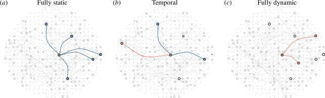 Contacts made by an individual of interest (brown, centre) in a single time step with contacts retained from the previous time step (blue)