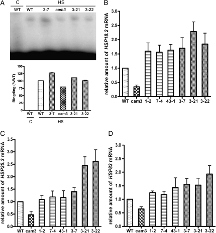 Figure 6.