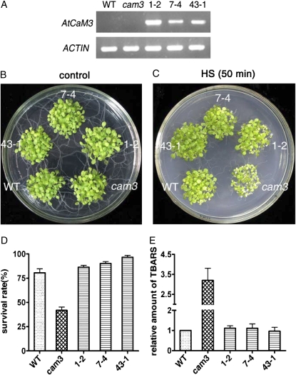 Figure 4.