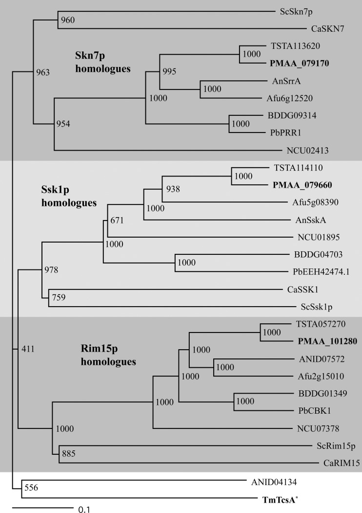 FIG 1 