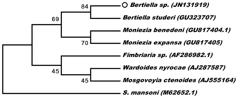 Figure 2