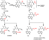 Figure 65