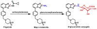 Figure 36