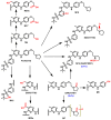 Figure 31