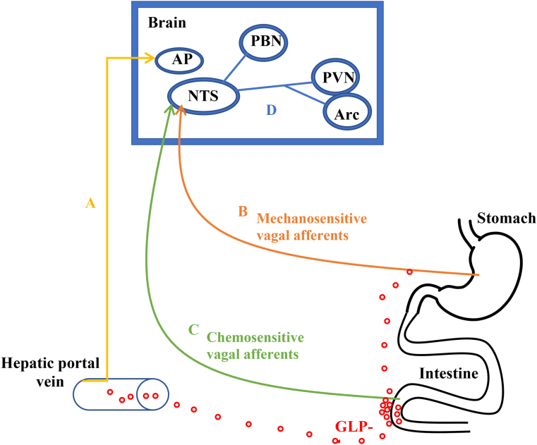 FIGURE 2