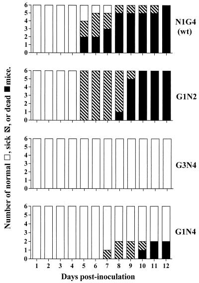 FIG. 4