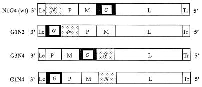 FIG. 1