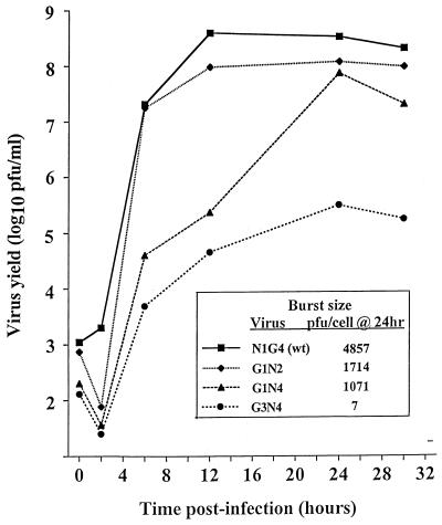 FIG. 3