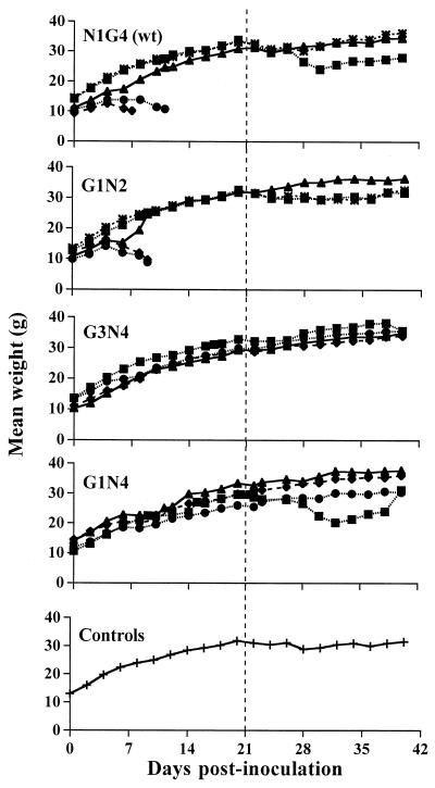 FIG. 5