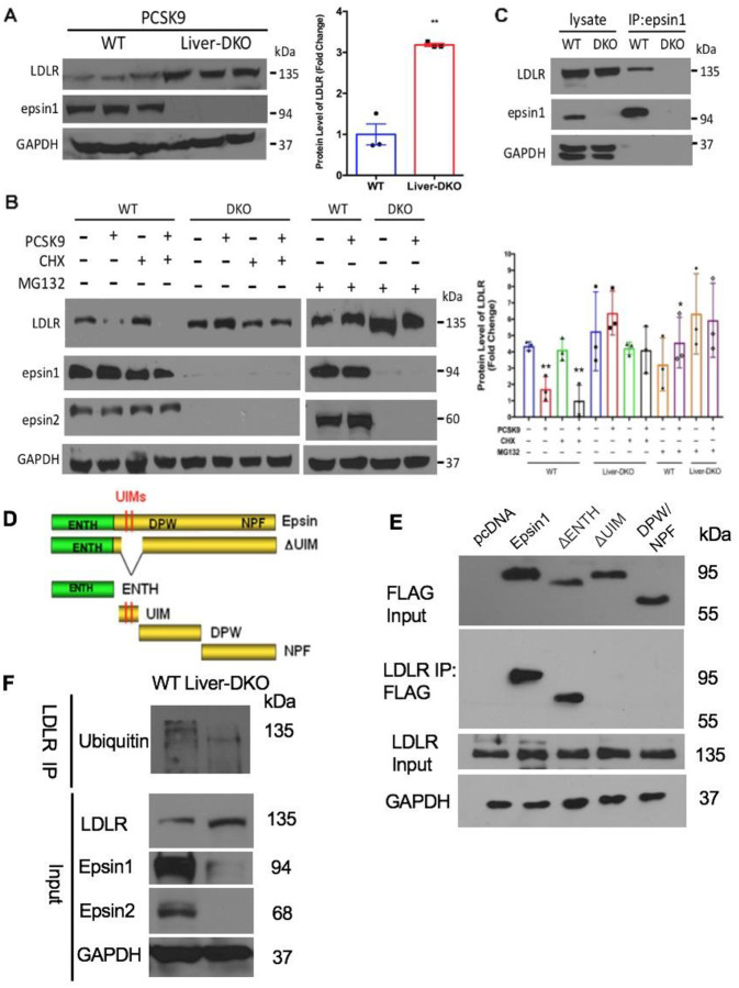 Fig.6: