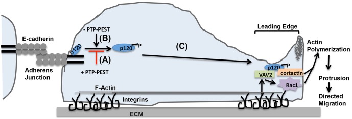 Fig. 8.