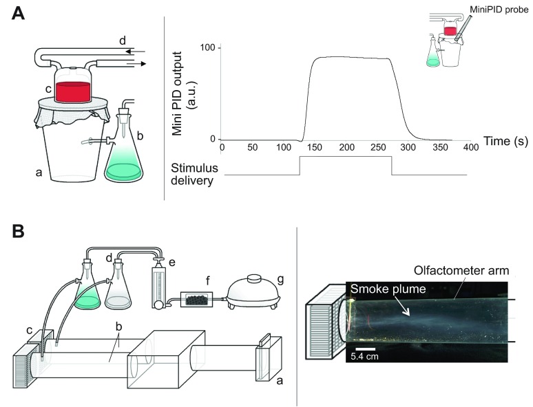 Fig. 1.