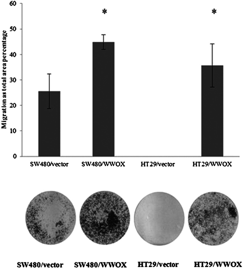 Fig. 8