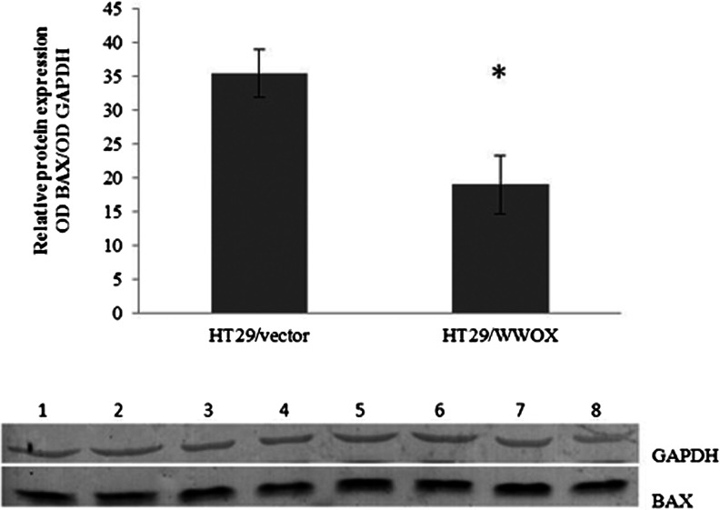 Fig. 10