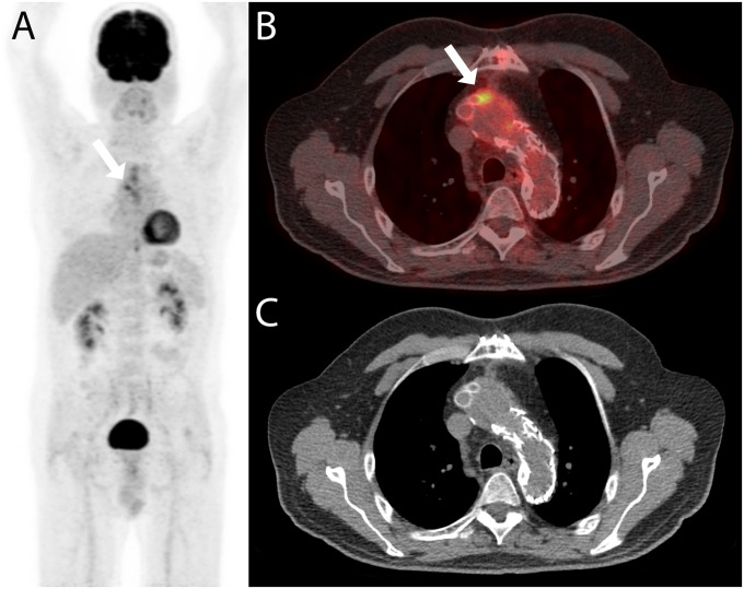 Fig 6