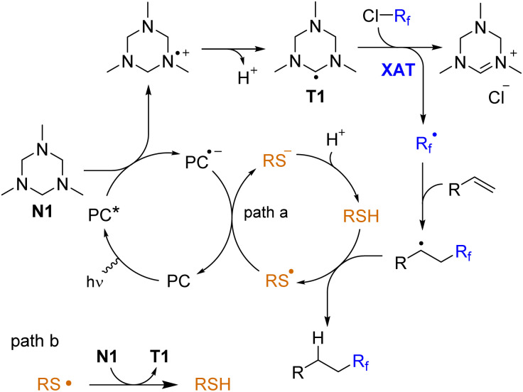 Scheme 6