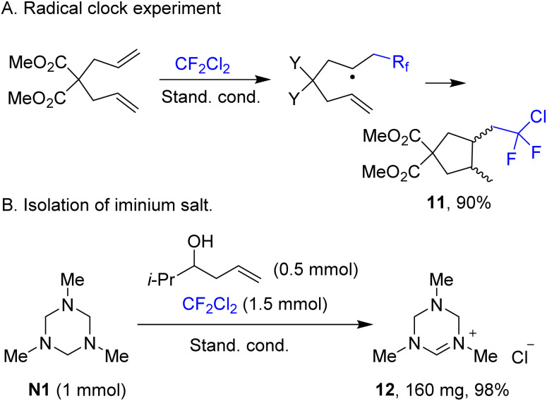 Scheme 5