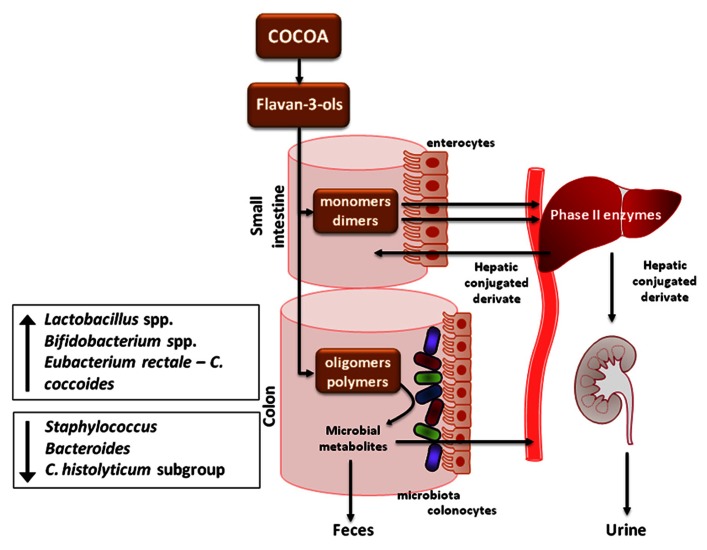 FIGURE 3