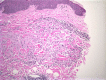 Figure 3B.