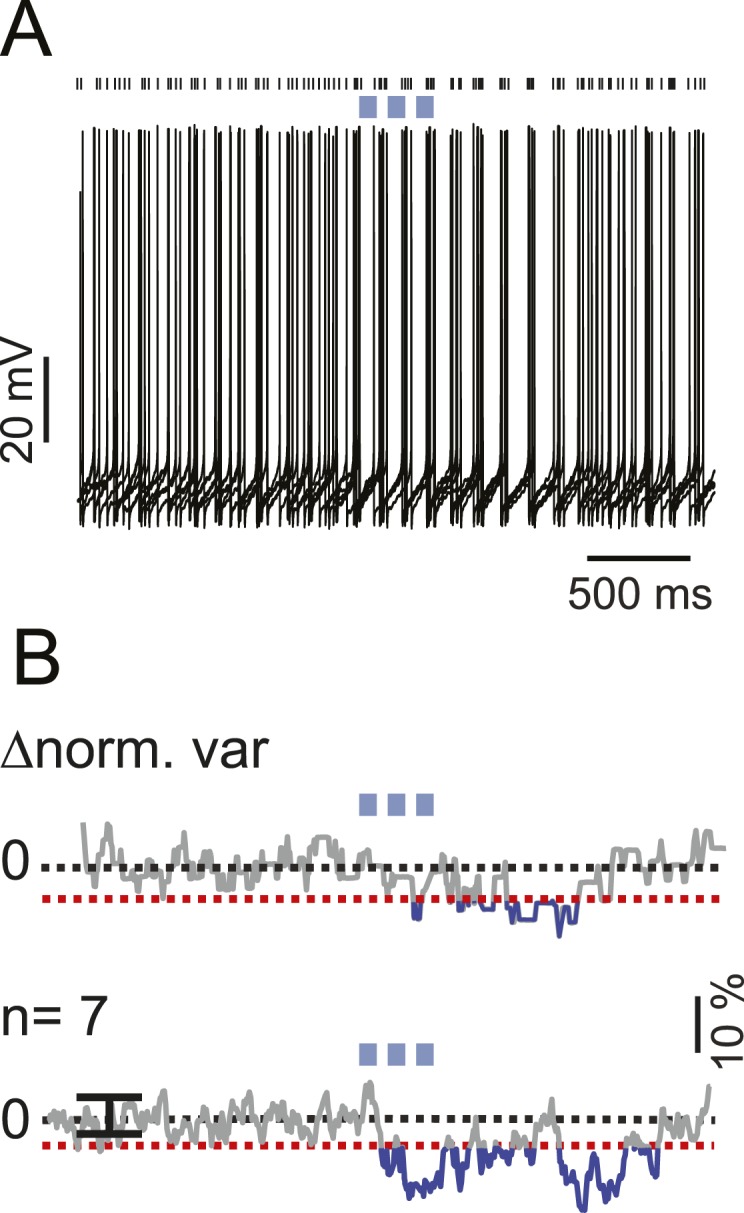 Figure 3—figure supplement 1.