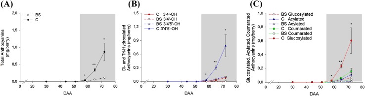 Fig. 8