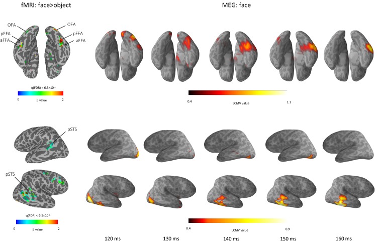 Figure 1—figure supplement 2.