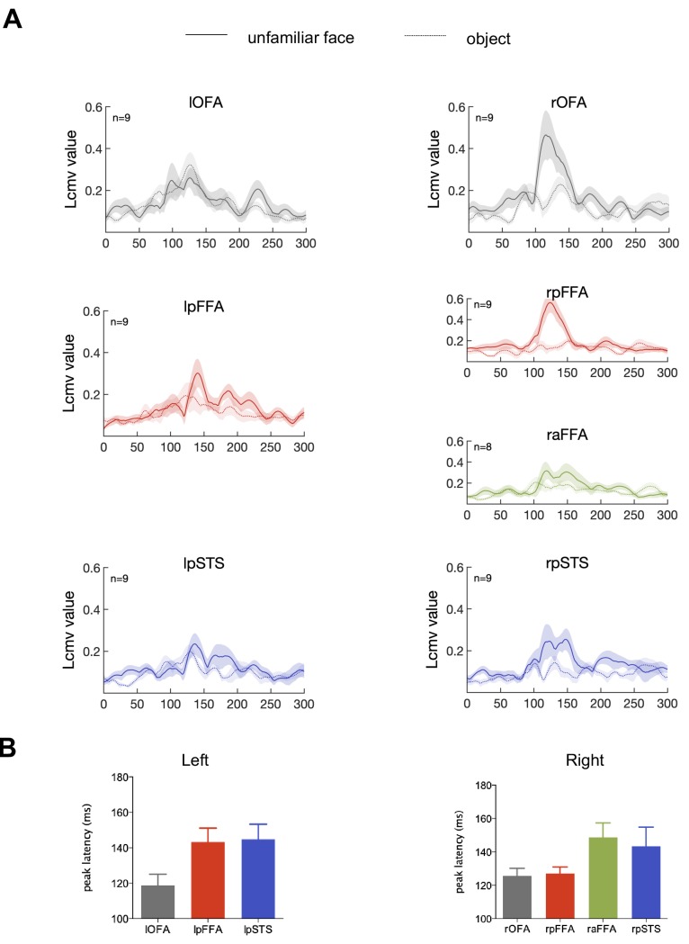 Figure 2—figure supplement 1.