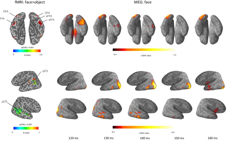 Figure 1—figure supplement 3.