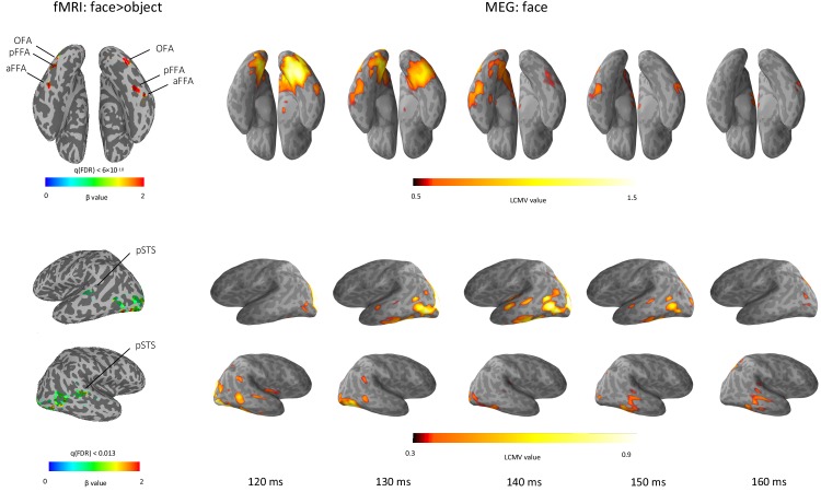 Figure 1—figure supplement 1.