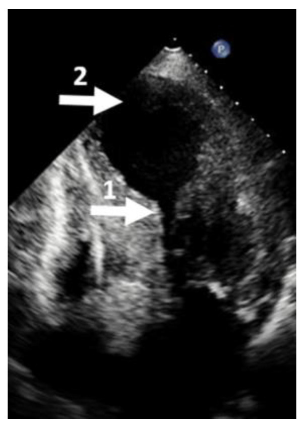 Figure 6