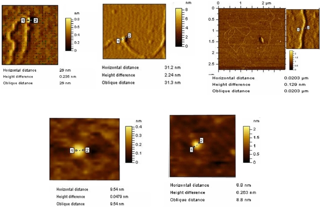 Figure 5