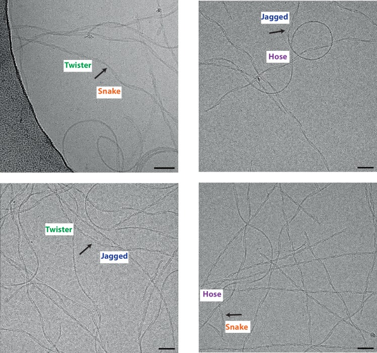 Figure 1—figure supplement 1.