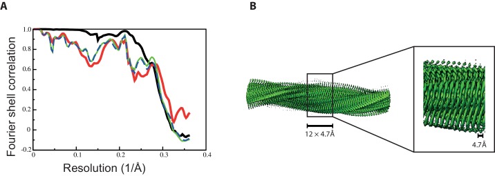 Figure 3—figure supplement 1.