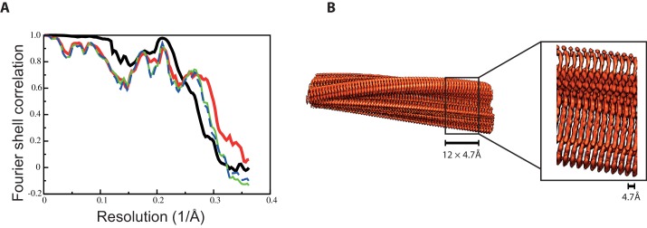 Figure 2—figure supplement 1.