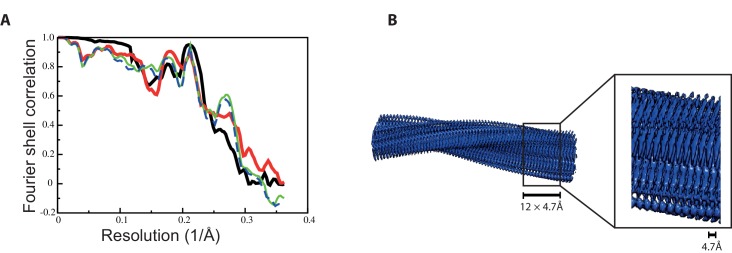 Figure 4—figure supplement 1.