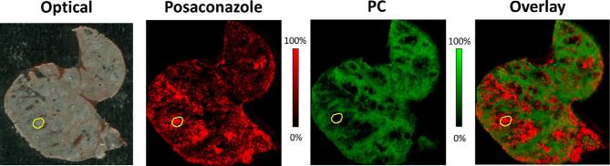 Figure 3.