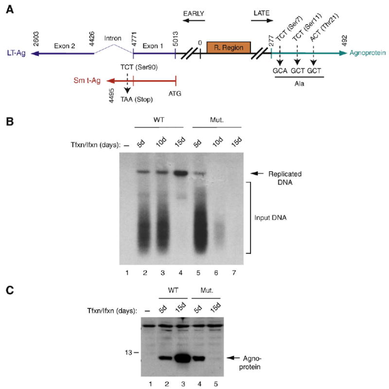 Fig. 9